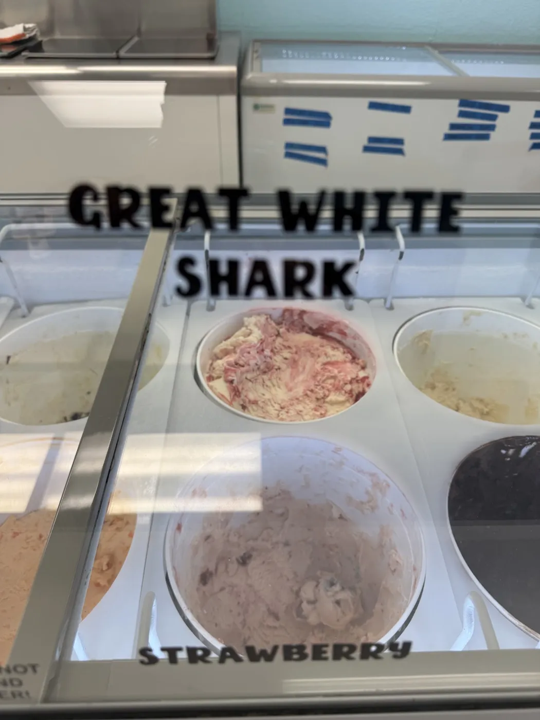 Great White Shark ice cream tub